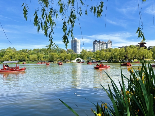 微信图片_20260520153431_565_24