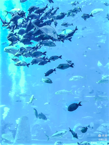 微信图片_20260715143802_1011_24