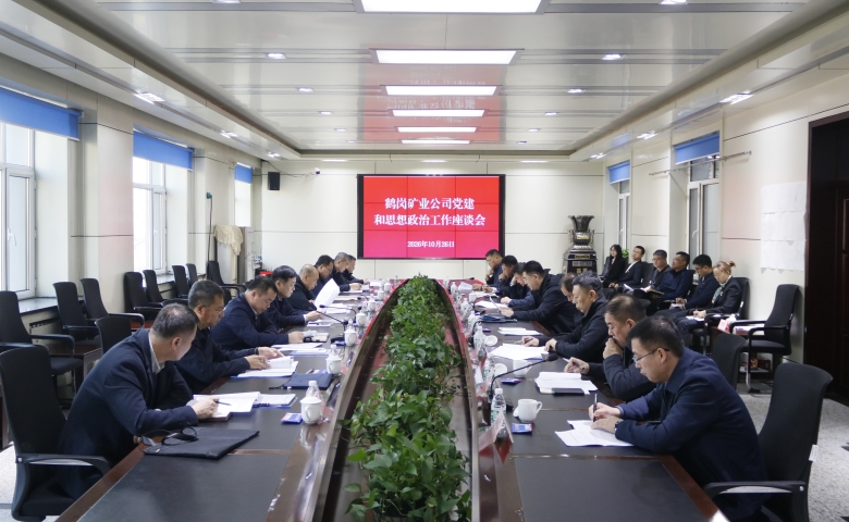 公司党委召开党建和思想政治工作座谈会